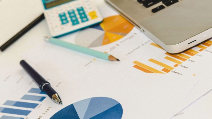 Jasa Pembuatan Website Murah